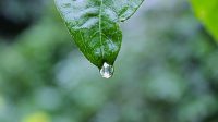 Optimale drinkwatersamenstelling