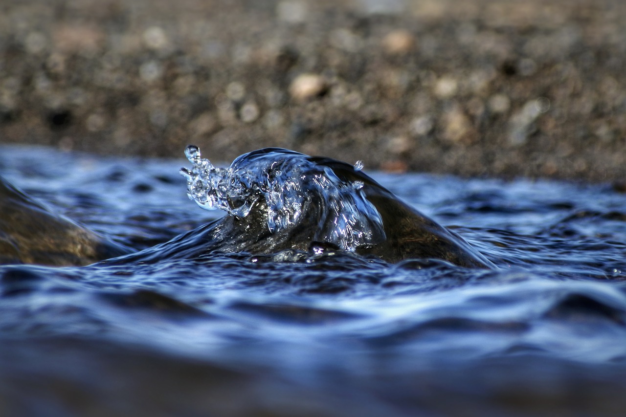 Oppervlaktewater